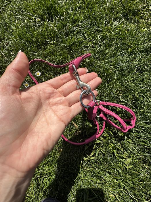 Прводок для кота