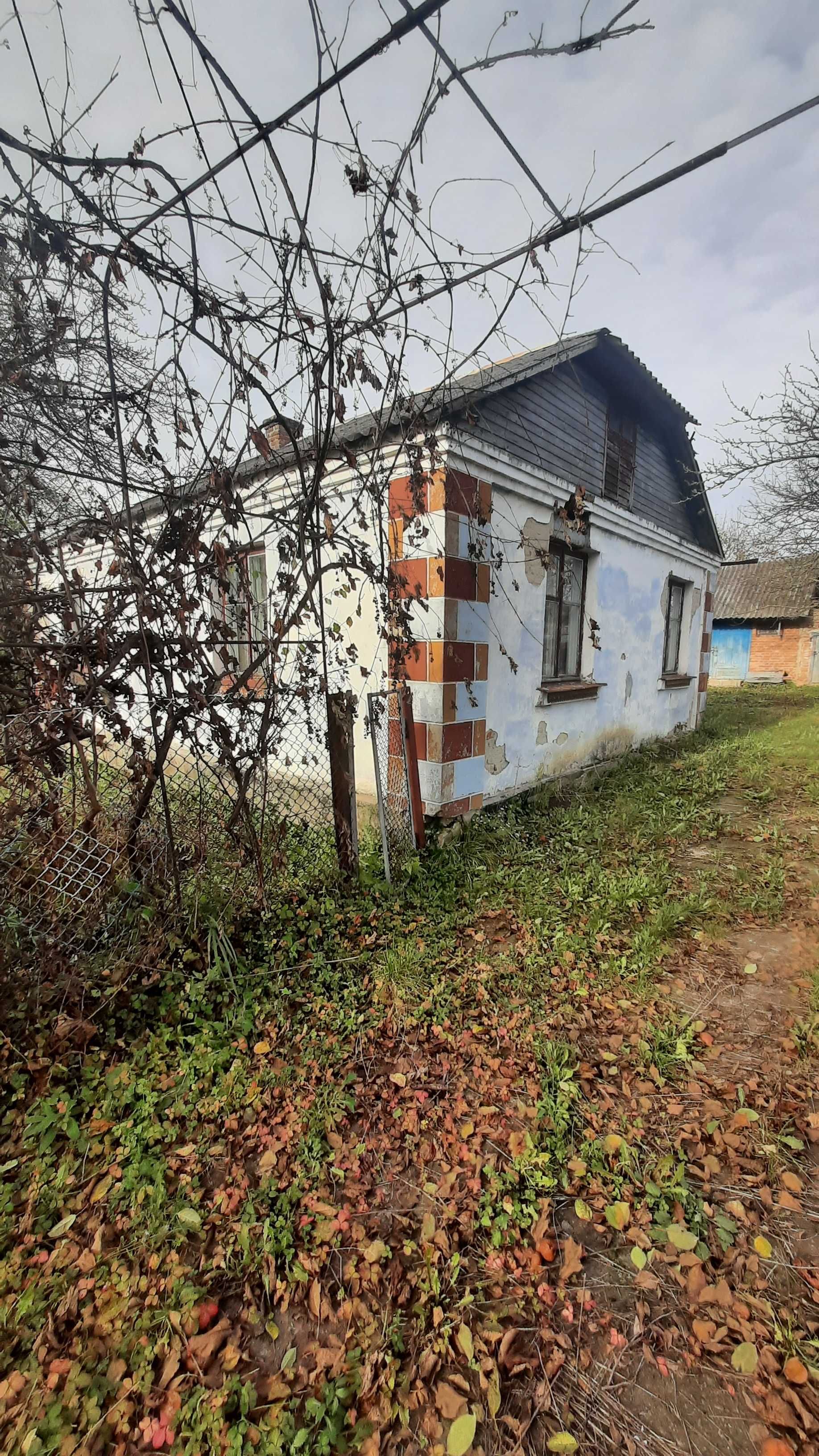 Будинок із земельною ділянкою в с. Радовичі