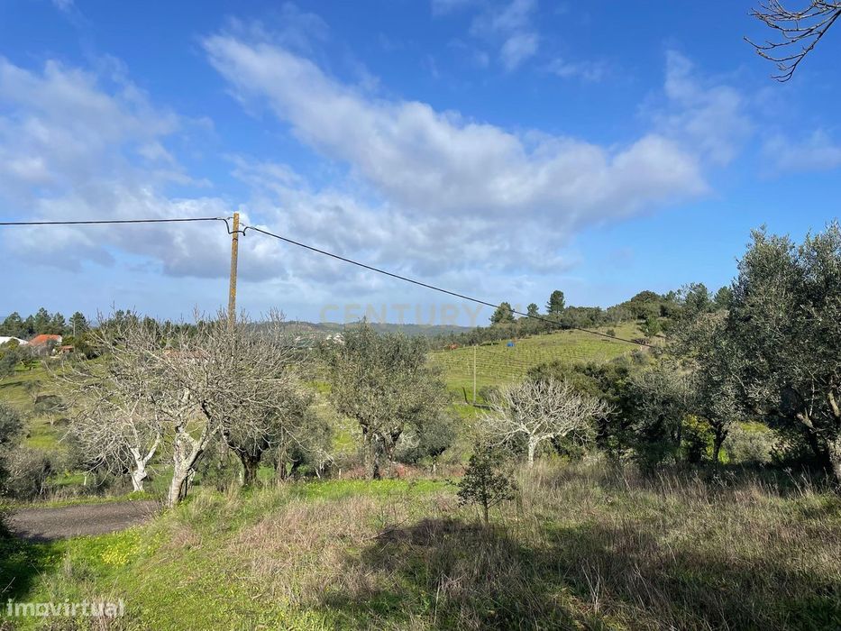 Terreno Rústico em Vale do Arneiro, Martinchel, Abrantes