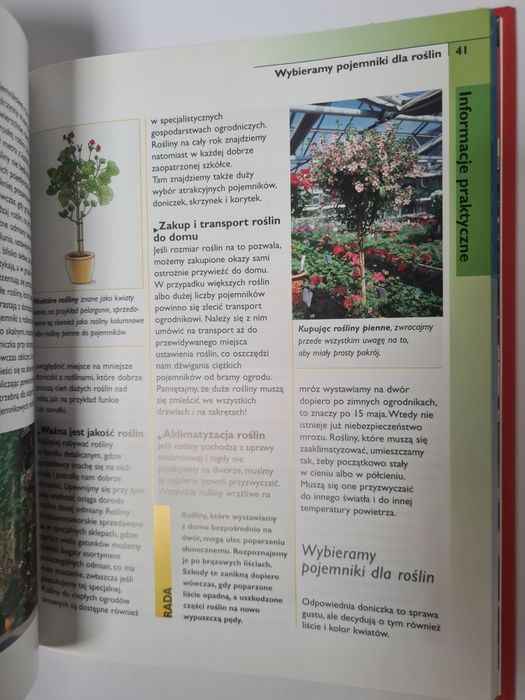 Rośliny w pojemnikach - Engelbert Kötter