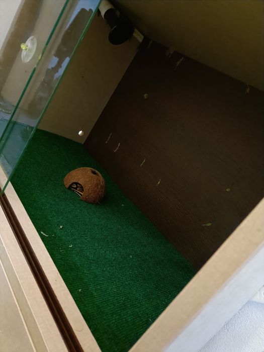 Terrário para repteis