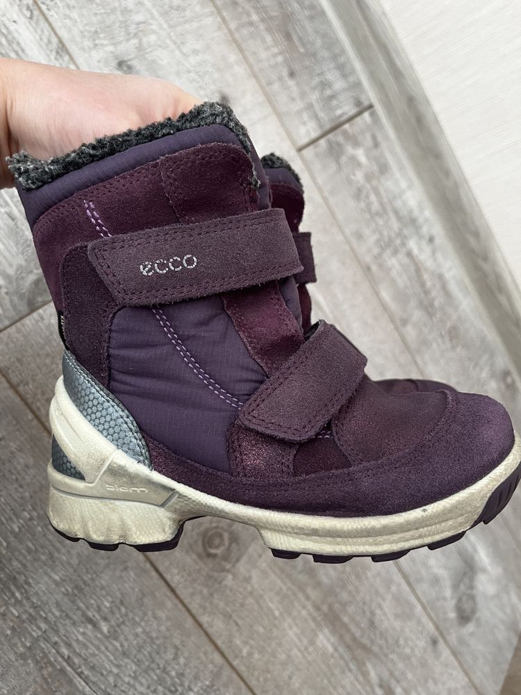 Зимние ботинки Ecco Biom 28