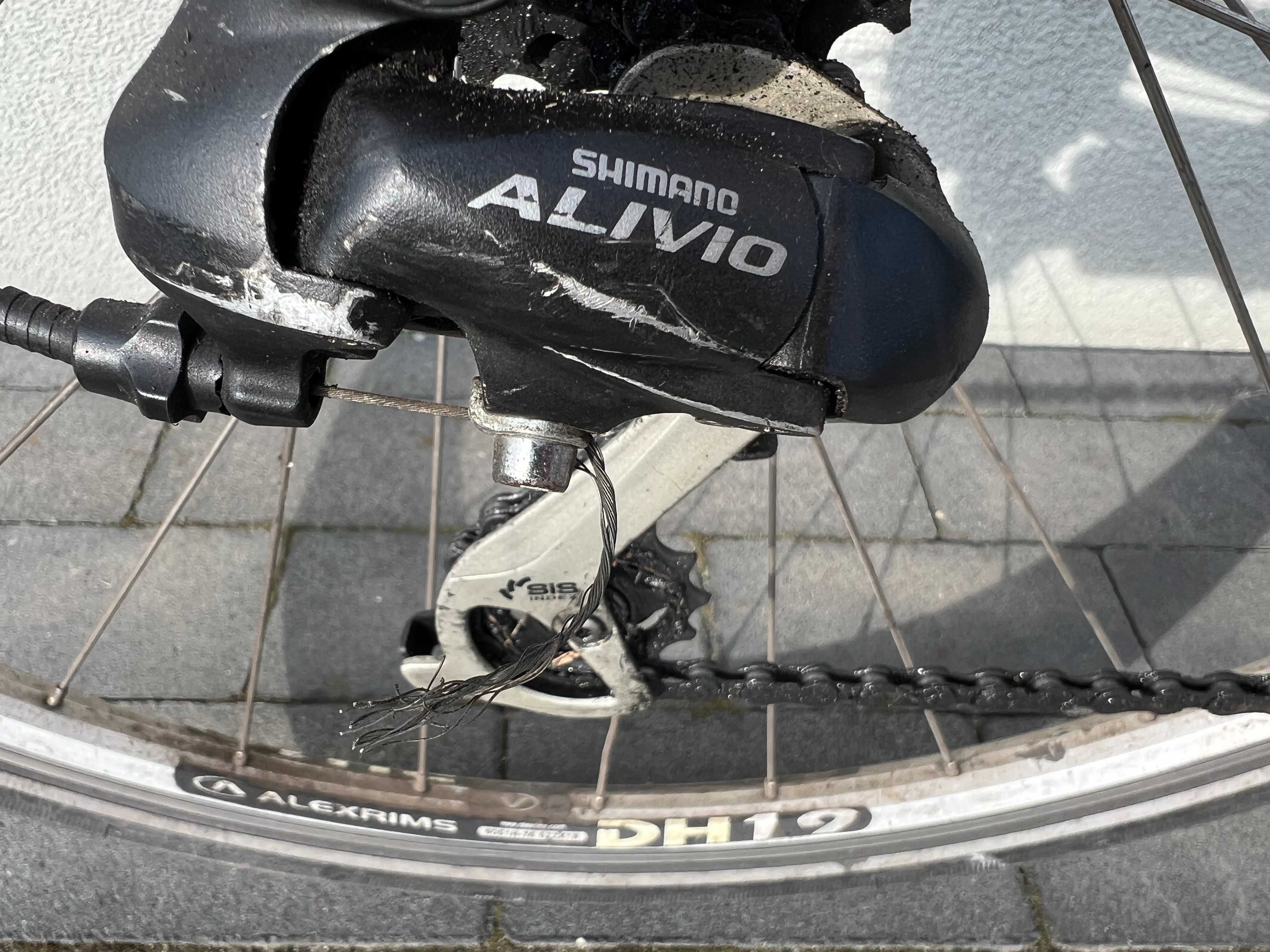 Rower Specialized Crossroads Sport