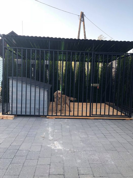 Kojec i boks dla psa. Solidna klatka, zagroda. Sprawdzone rozwiązania.