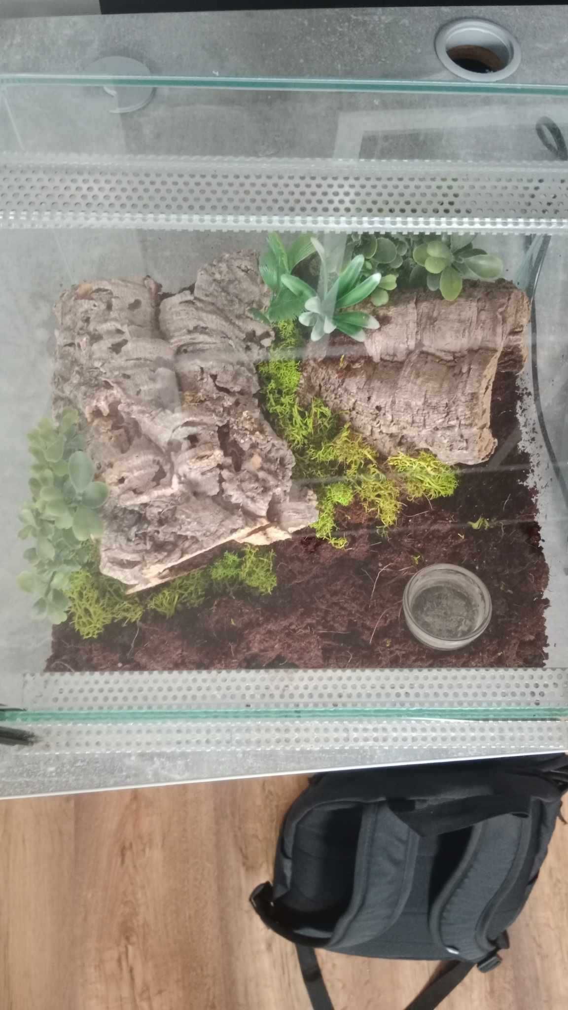 Terrarium 30x30x20