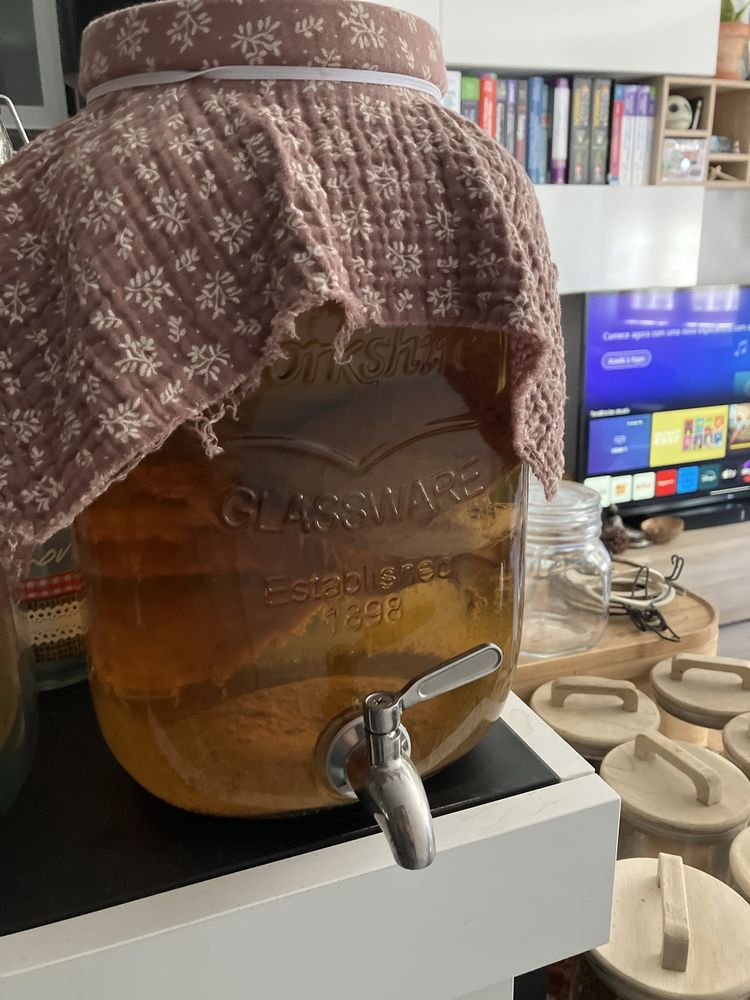 Kombucha - Doação de Scoby e Starter Bio