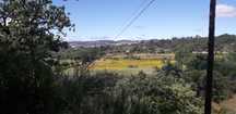 Quinta 14,5 hectares