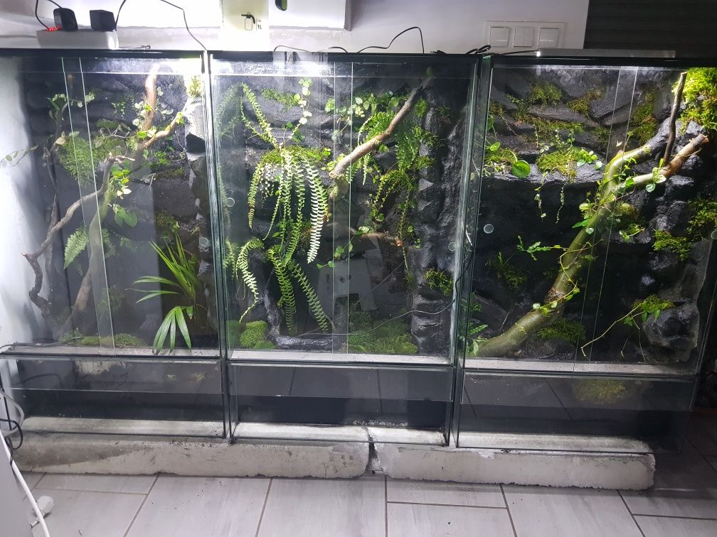 Terrarium 60x40x100cm bioaktywne tropikalne paludarium vivarium