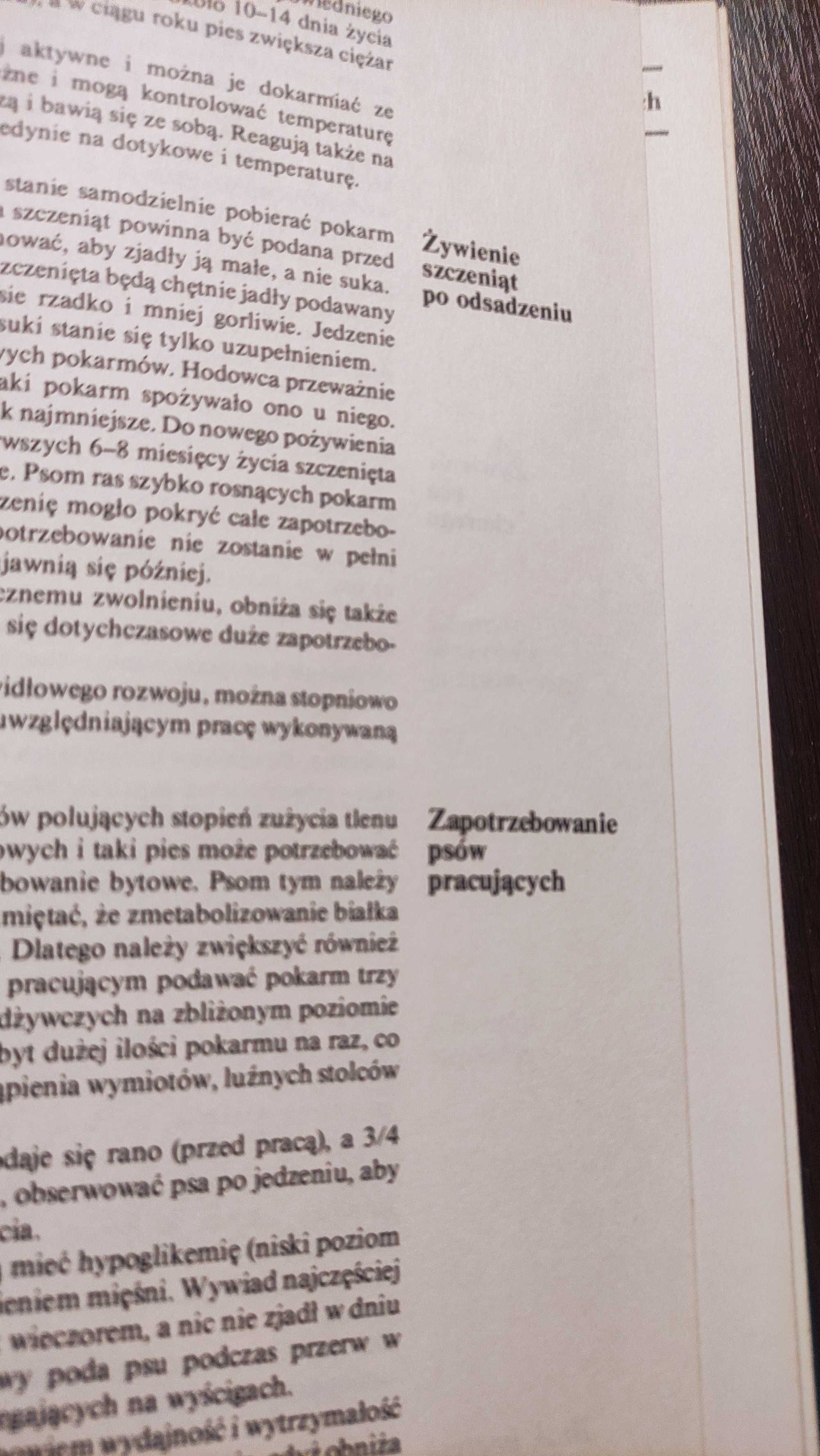 Psy rasowe w Polsce