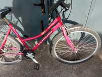 Rower damka 24  cale