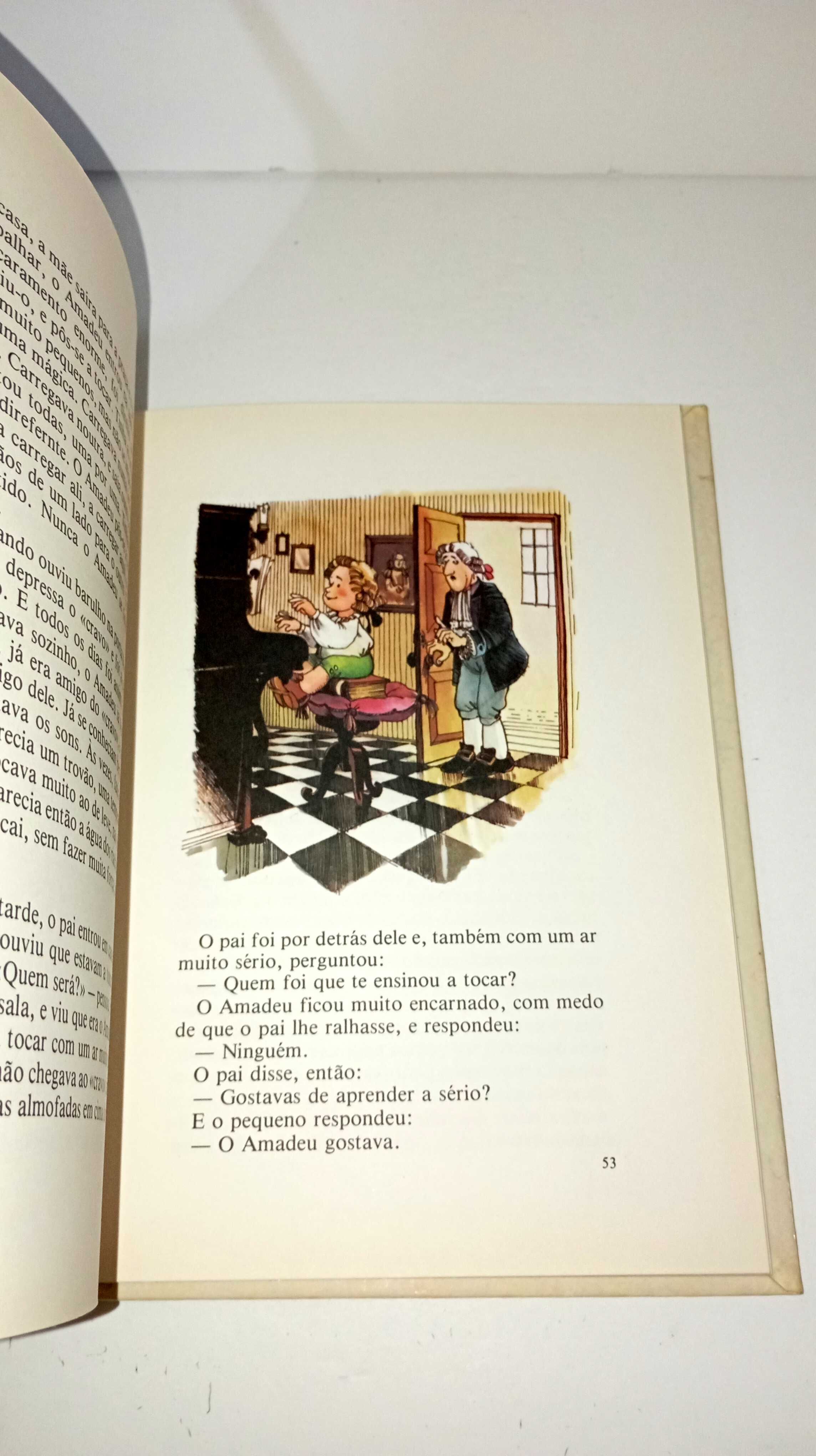 Pedro e o Mágico - Plátano editora