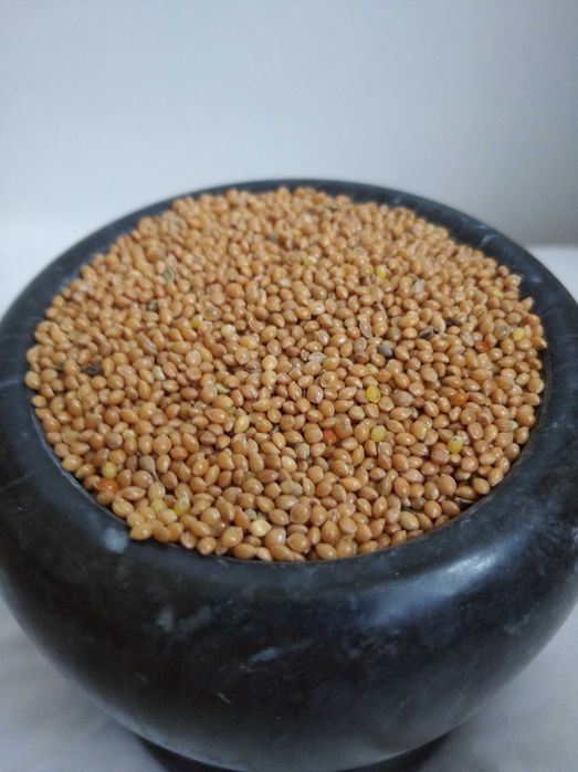 Proso karma dla kur, papug, gołębi, bażantów, przepiórek .Paczka 25kg
