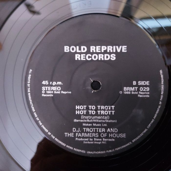 D.J. Trotter + The Farmers of House, 1988, Ideał-