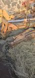 Fermec, Terex ramie teleskop