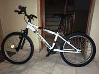 Bicicleta roda 20