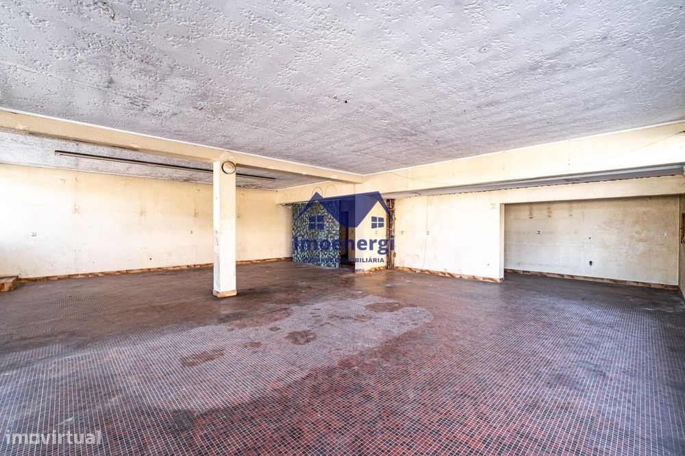 Excelente Loja - Árvore