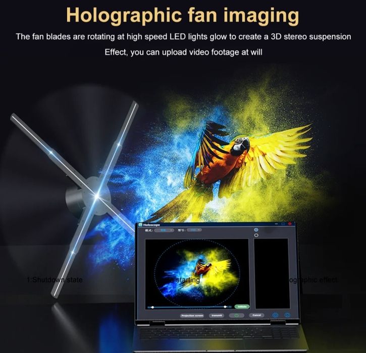 Hologram 5D LED 50cm 2025 ANIMACJE
