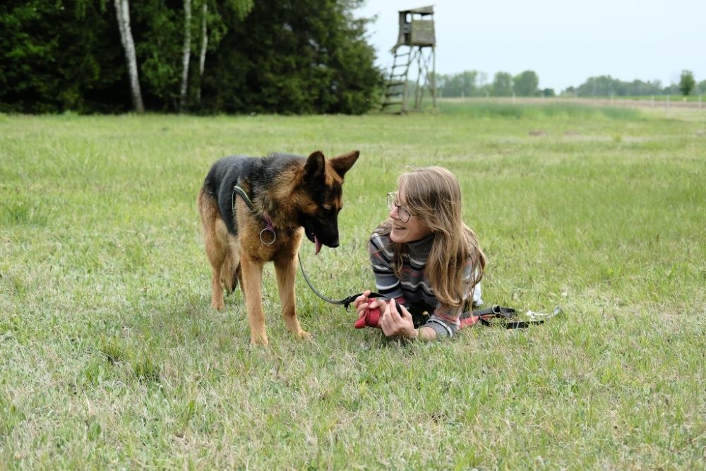 Czaki- 3 letnia sunia w typie owczarka niemieckiego do adopcji!