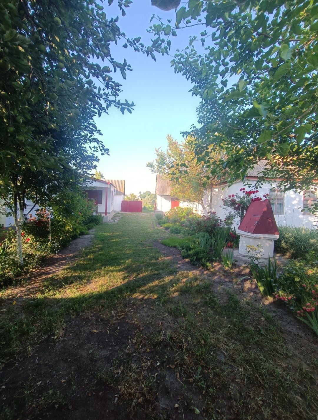 Продам будинок в с. Житні Гори, Київської області