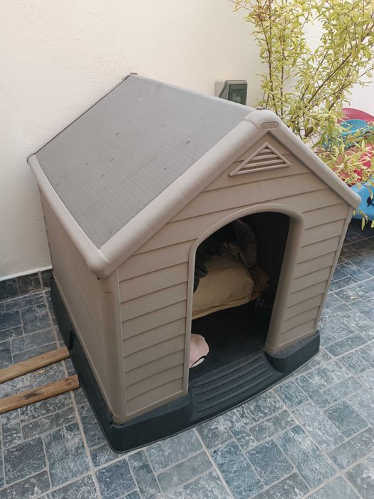 Casota de cão tamanho grande
