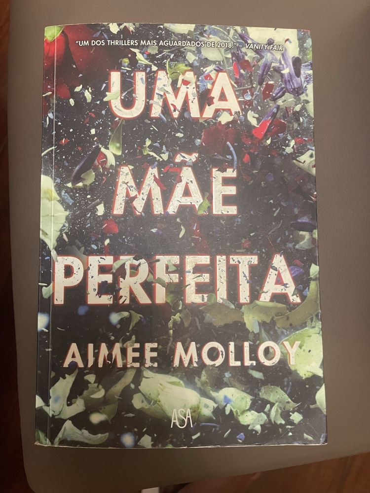 Uma Mãe Perfeita - Aimee Molloy