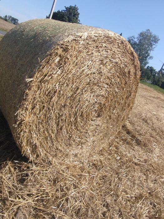 Sprzedam słomę 2025