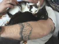 cudne dwa maluszki do adopcji