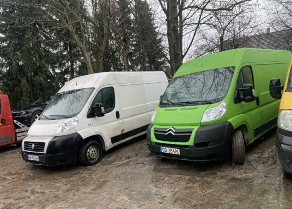 Wynajem busów dostawczych