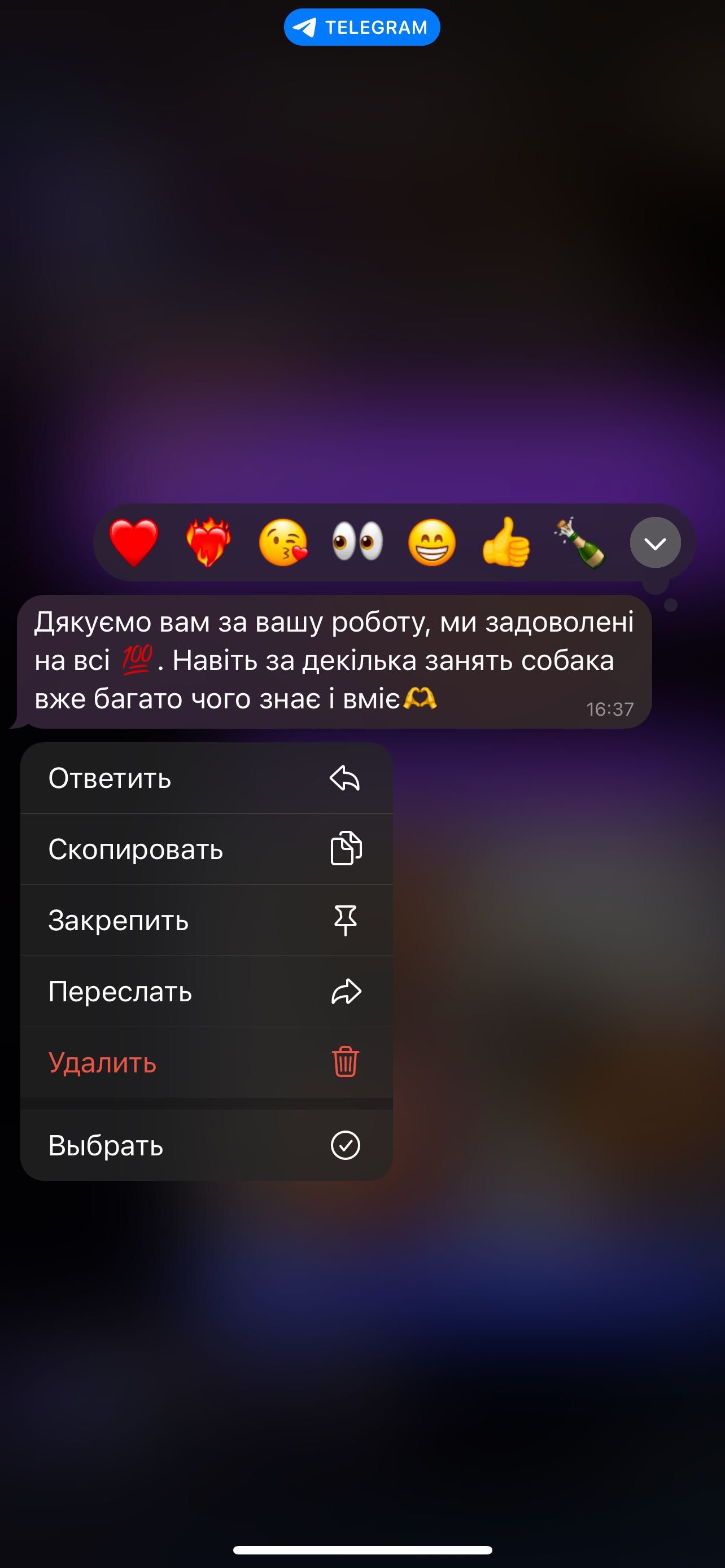 Кінолог | Дресирування собак | Львів
