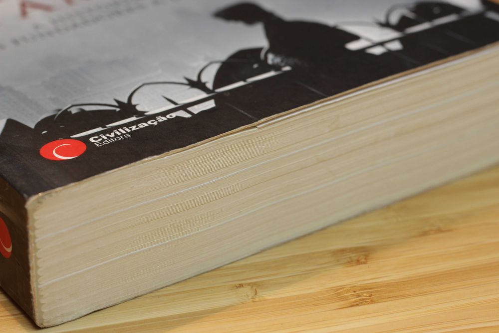 O FUTURO DA AMÉRICA (livro em português)