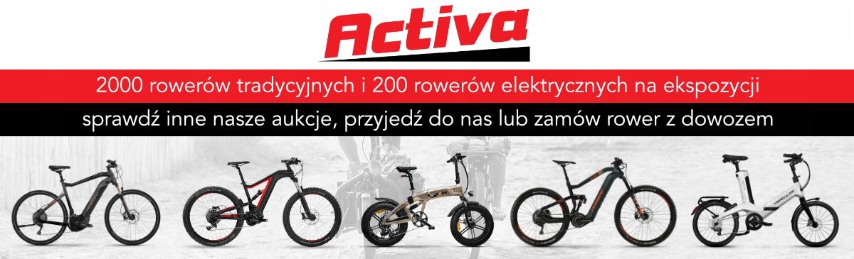 Rower elektryczny Devron 26120