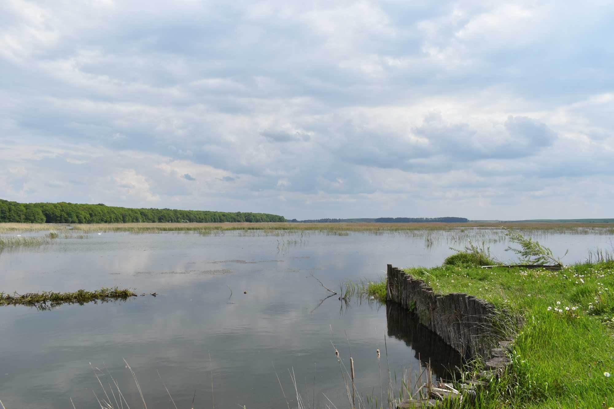 Продаж відпочинкового будинку бані, с. Липа (біля Хрінники)