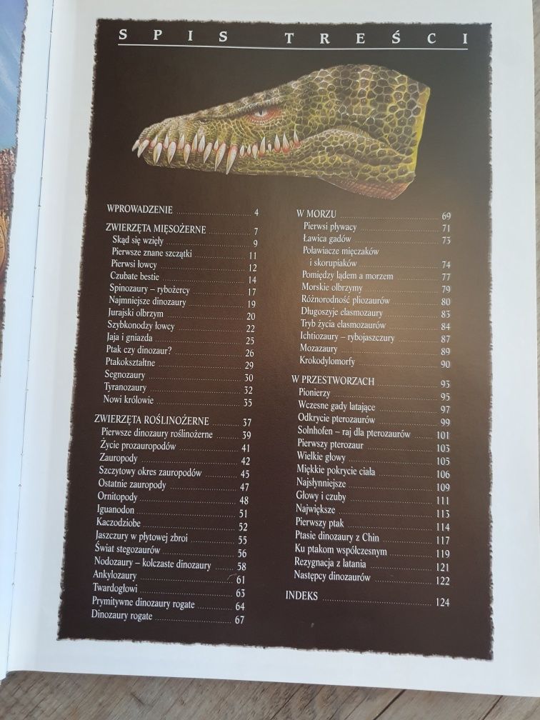 Książka Encyklopedia Dinozaurów + duży gumowy dinozaur figurka