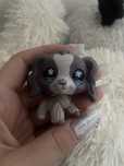 lps spaniel littlest pet shop