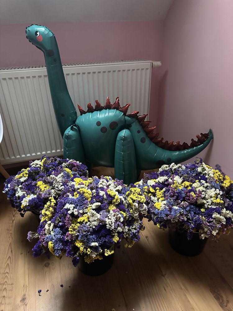 Oddam za darmo – suszone kwiaty i balon RAZERWACJA