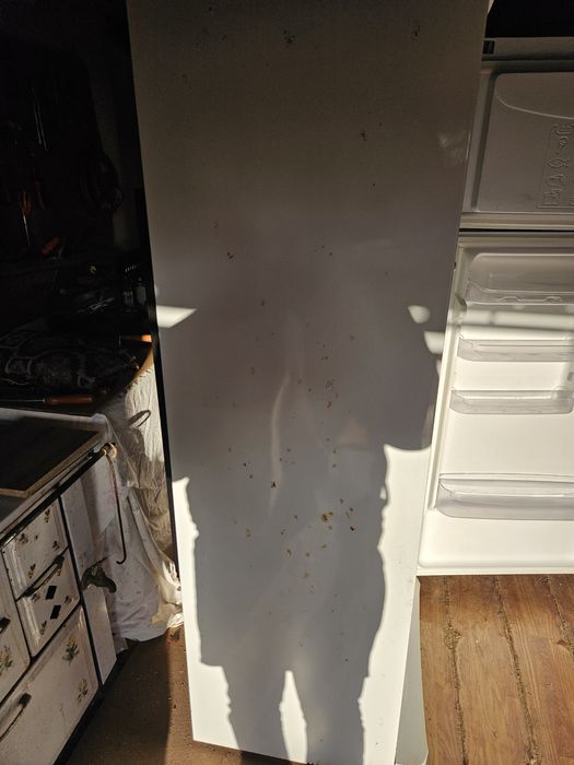 Frigorífico indesit