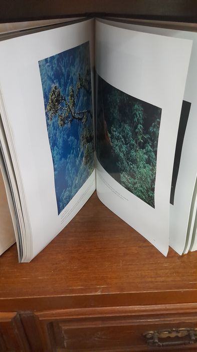 National Geographic Série de ouro "As melhores fotografias"