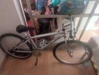 Bicicleta para adultos