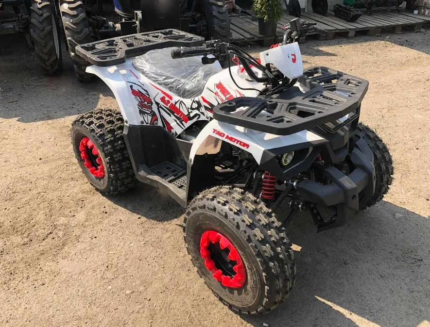 Підлітковий квадроцикл Exdrive Hunter 125 КПП є доставка.