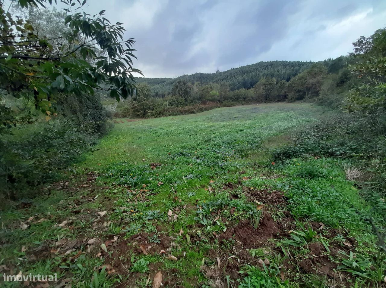 Vende Quinta em Paraíso Castelo Paiva