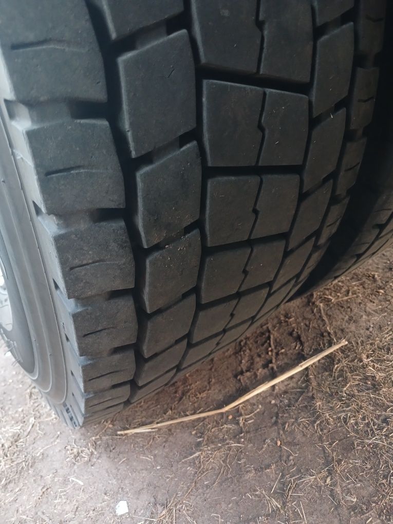 MAN TGX-440—510 .