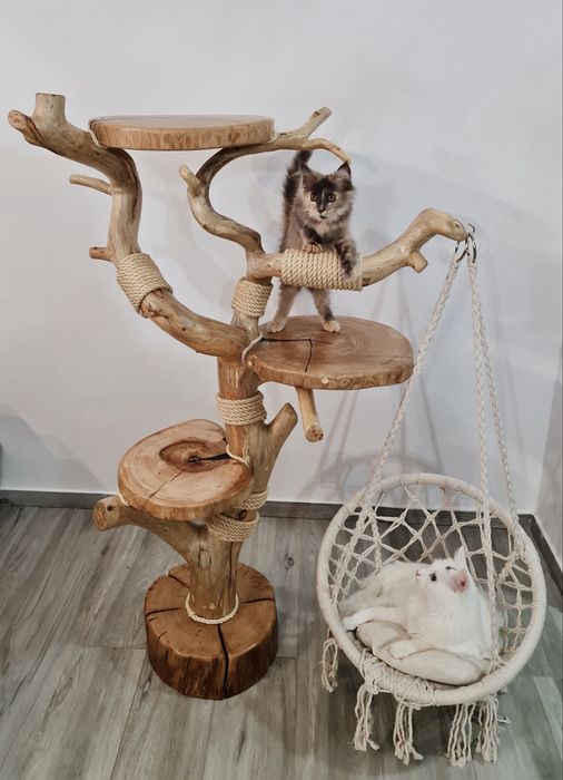 Naturalny Drapak Dla Kota Z Drewna Lina Sizalowa Hamak Kocie Drzewko