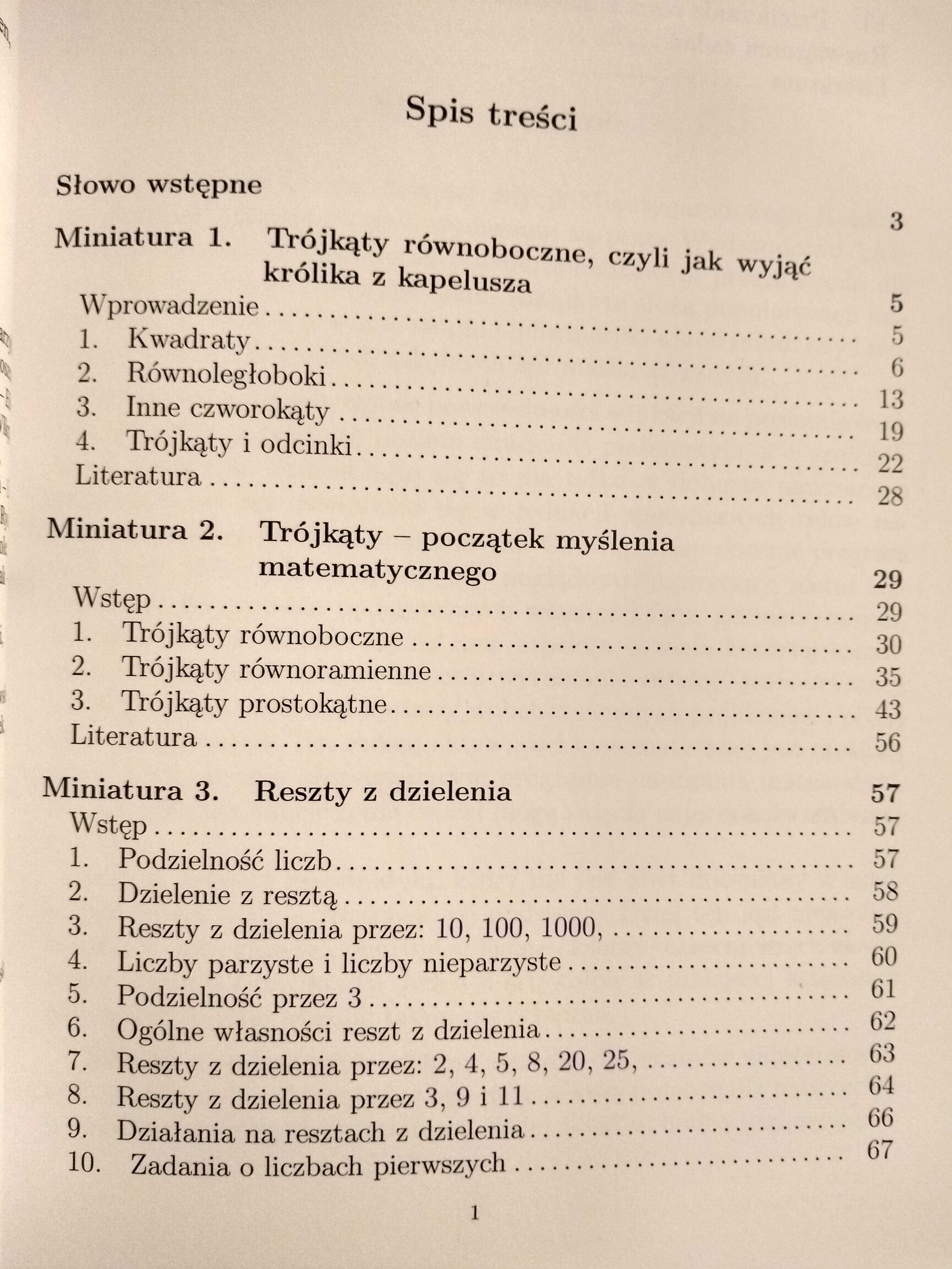 Matematyka - Trójkąty równoboczne. Trójkąty. Reszty z dzielenia - 014