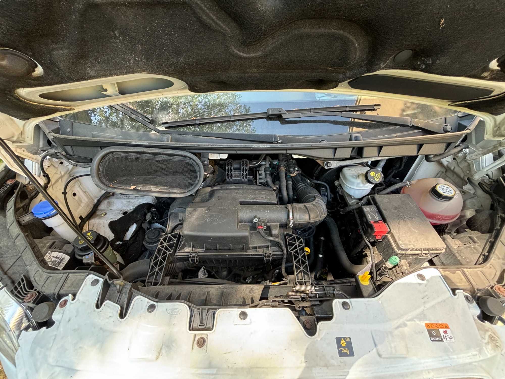 Ford Transit 2015 BUS Przewóz osób niepełnosprawnych 9 os. do 6 wózków