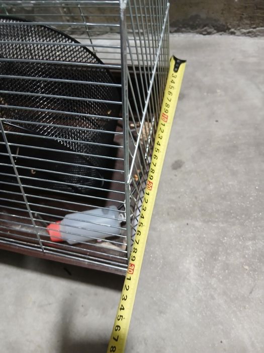 Клетка для хомяка