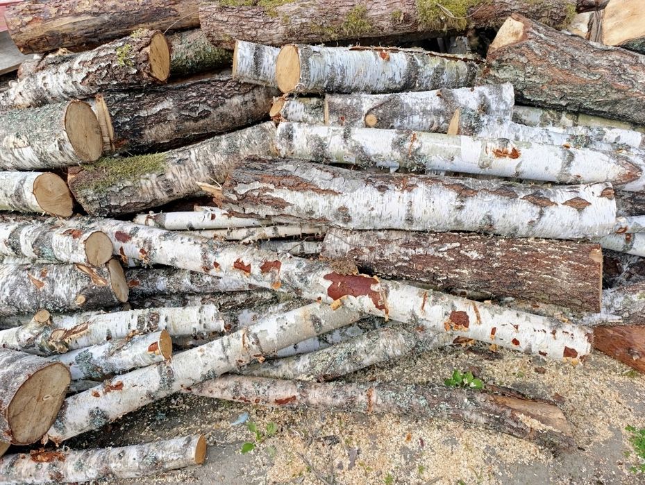 Drzewo opałowe - brzoza