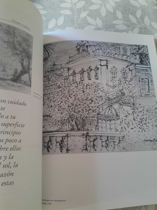 O desejo do Desenho