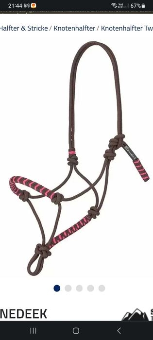 Brązowy halter pony