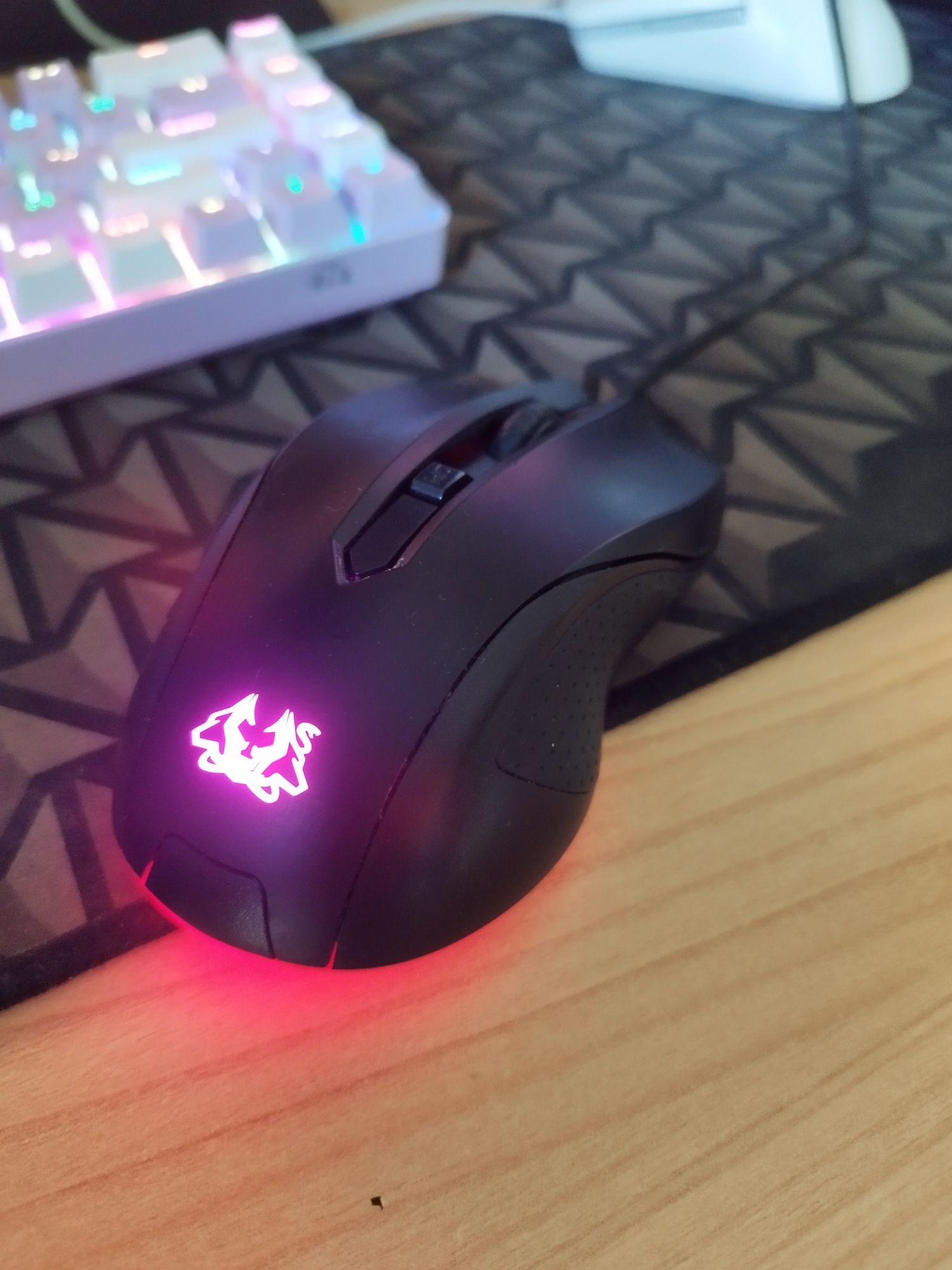 Rato      GAMMER