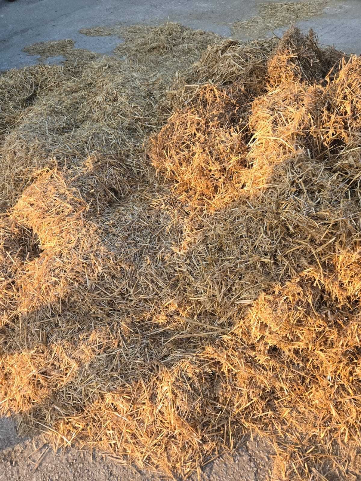 Palha triturada - GRÁTIS